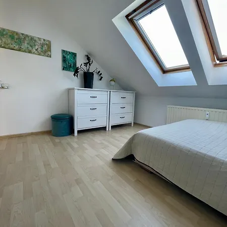 Apartman Loft Art
